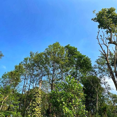 Sandev Homestay Madikeri Luaran gambar