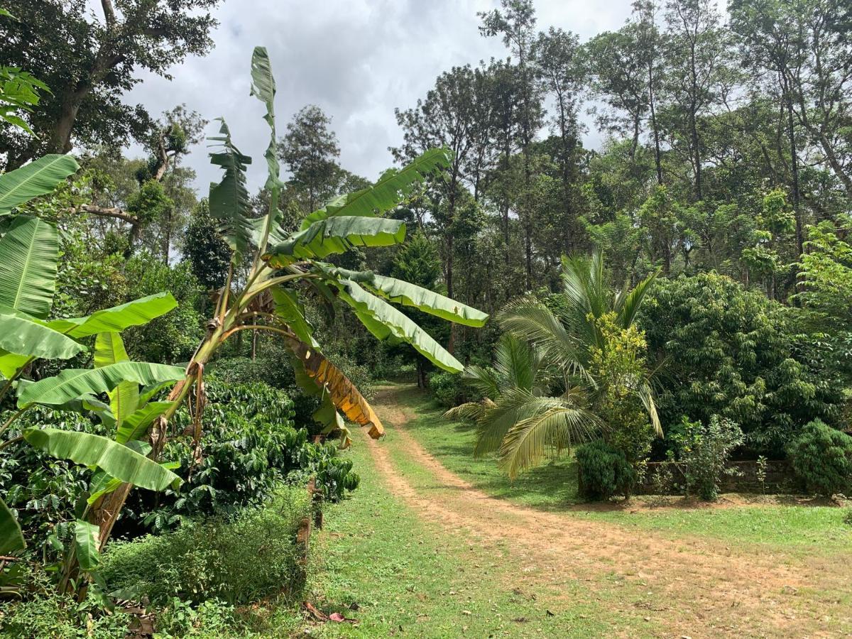 Sandev Homestay Madikeri Luaran gambar