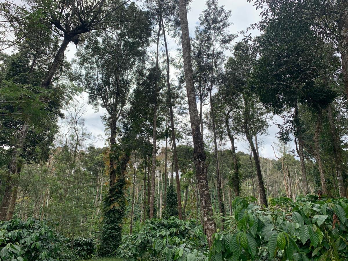 Sandev Homestay Madikeri Luaran gambar
