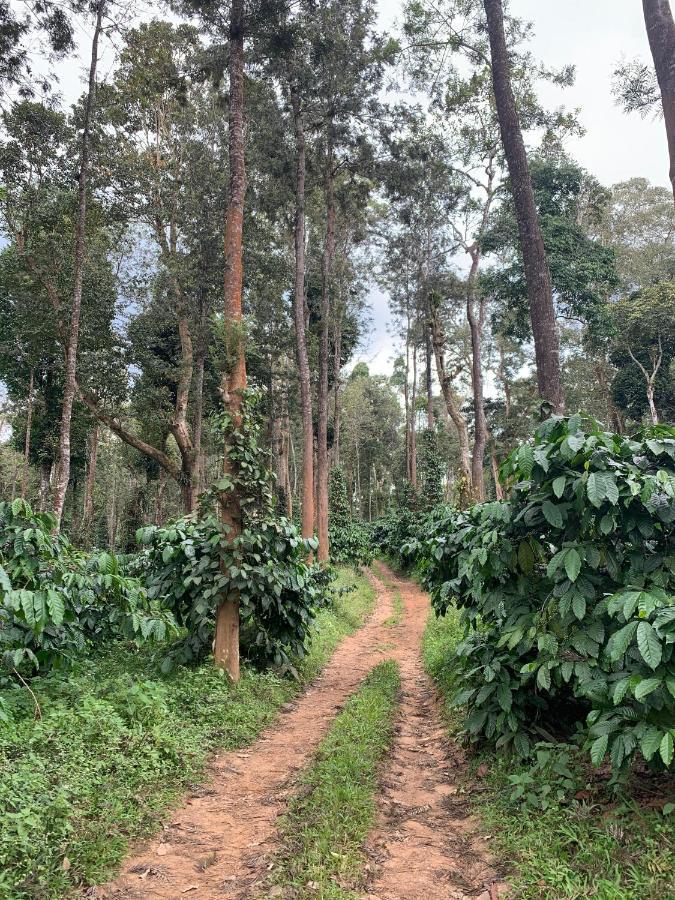 Sandev Homestay Madikeri Luaran gambar