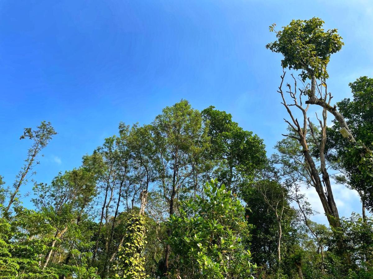 Sandev Homestay Madikeri Luaran gambar