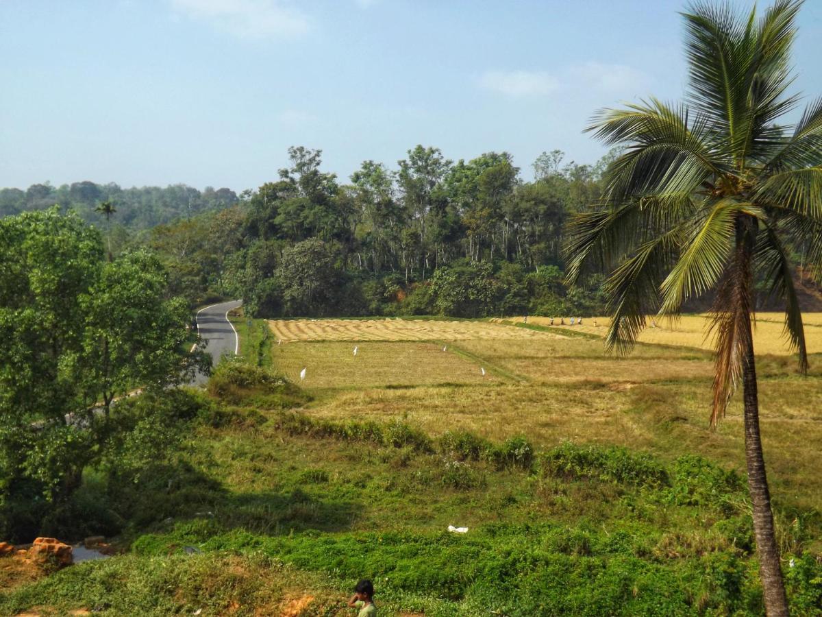 Sandev Homestay Madikeri Luaran gambar