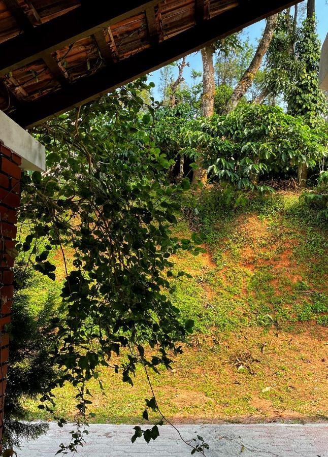 Sandev Homestay Madikeri Luaran gambar